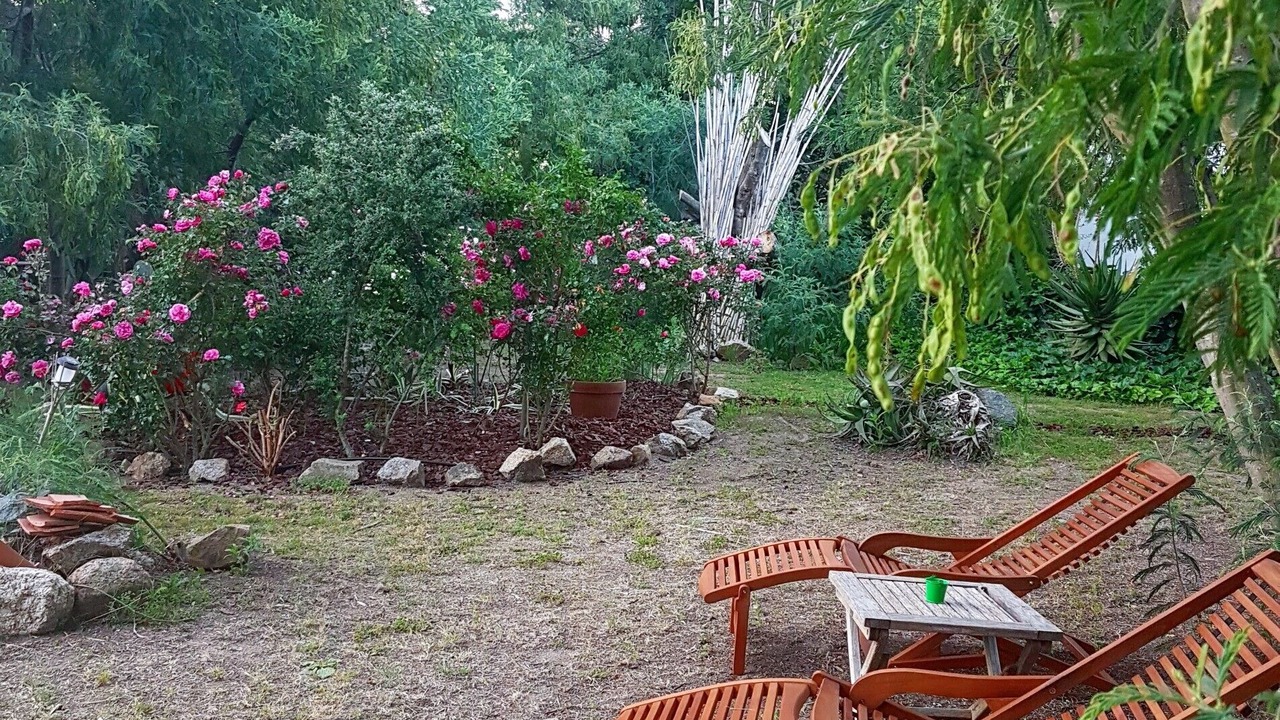 Photo of Outdoor in Calvi