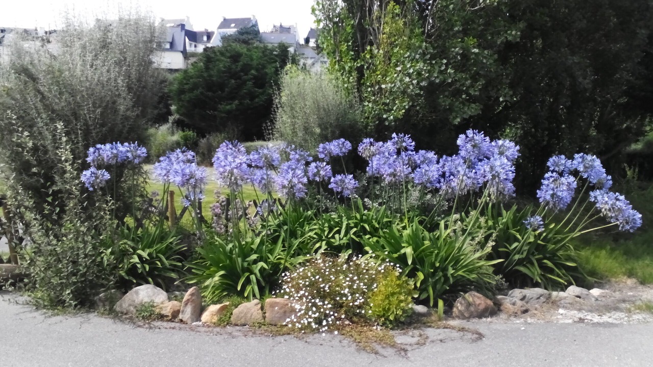 Photo of Outdoor in Saint-Nic