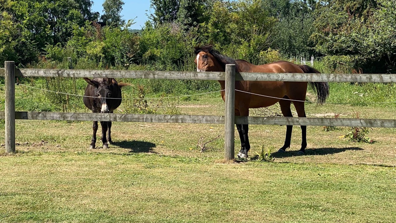 Photo of Others in Maisons