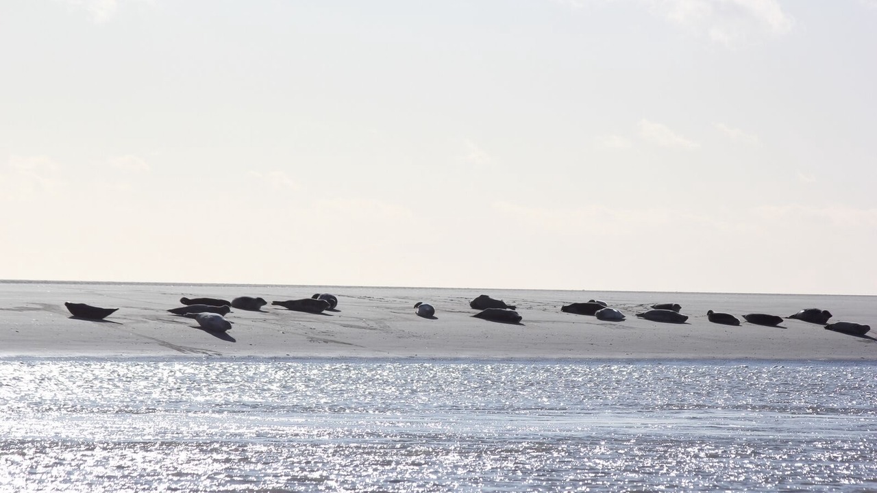 Photo of Others in Stella-Plage