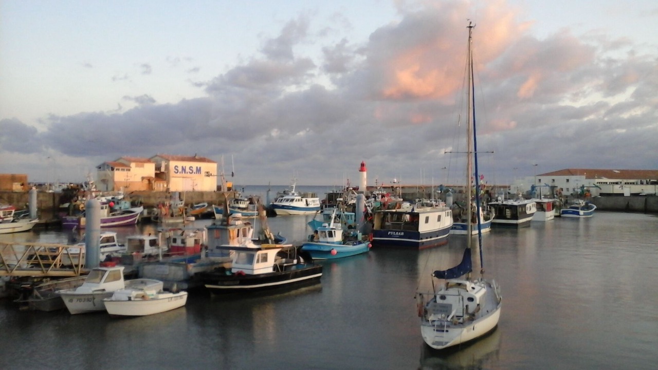 Photo of Others in La Cotiniere