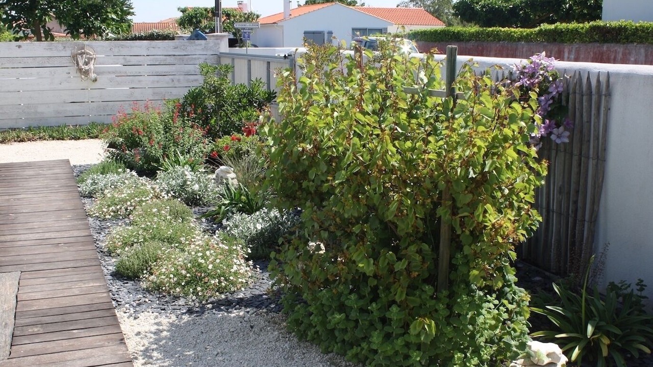 Photo of Outdoor in La Cotiniere