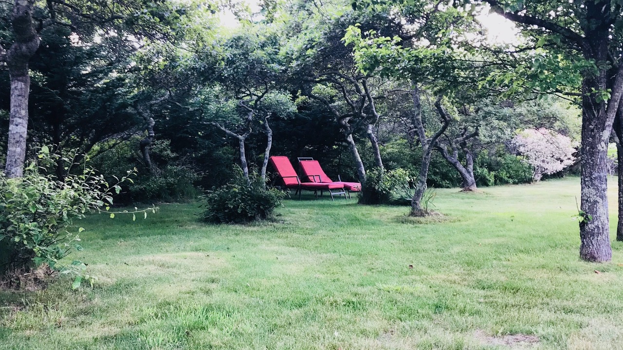 Photo of Outdoor in Tom Nevers