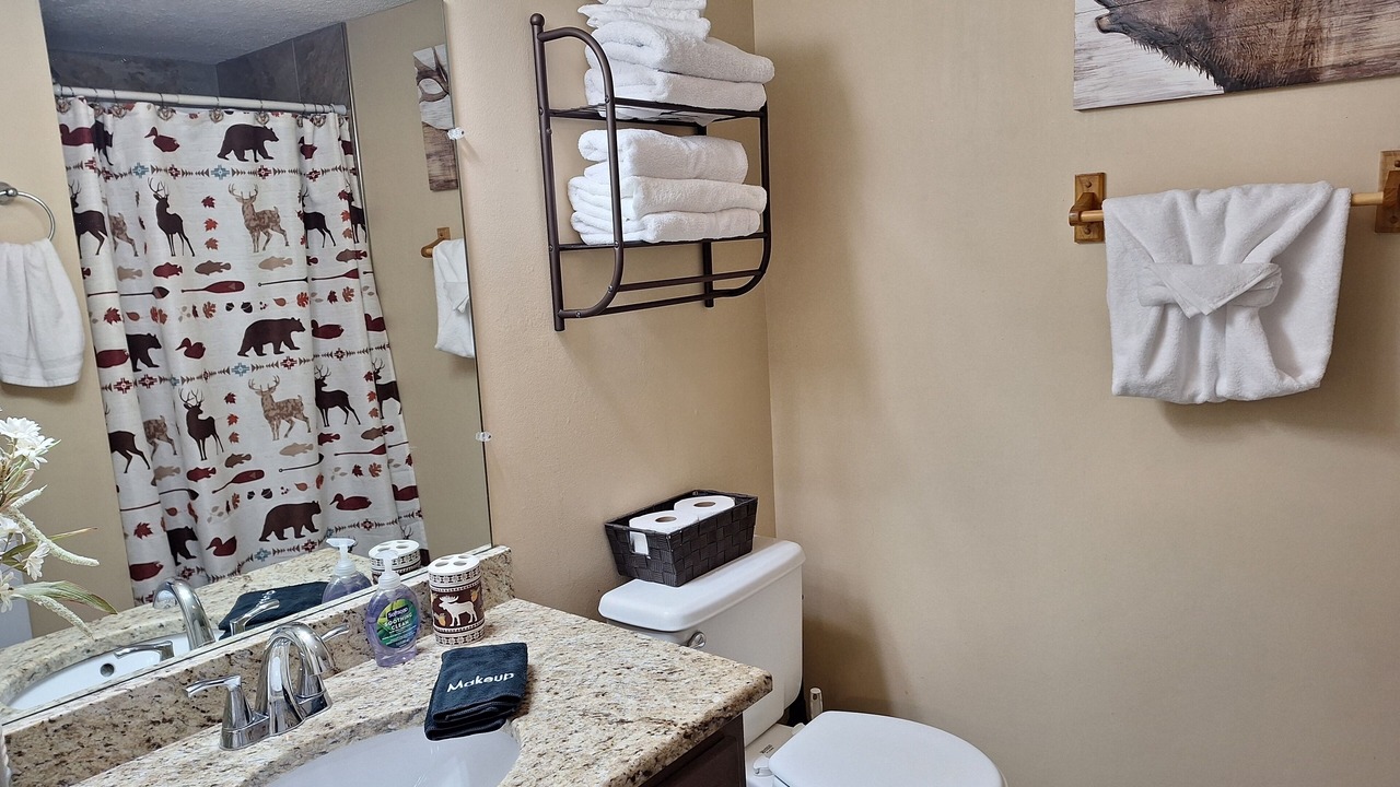 Photo of Bathroom in Chalet Village
