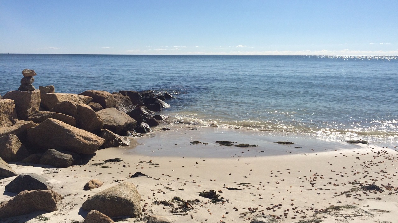 Photo of Others in West Dennis