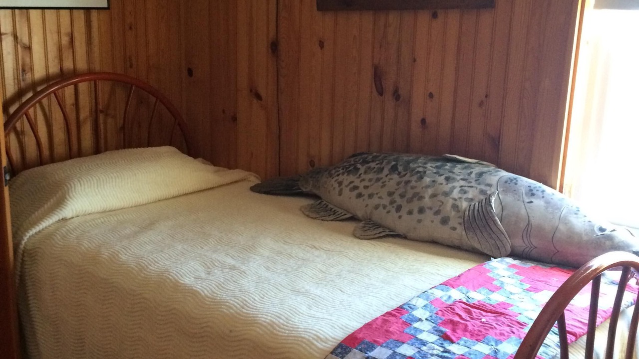 Photo of Others in West Dennis