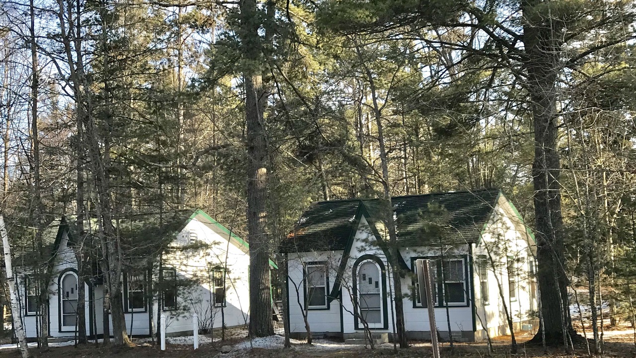 Photo of Outdoor in Higgins Lake