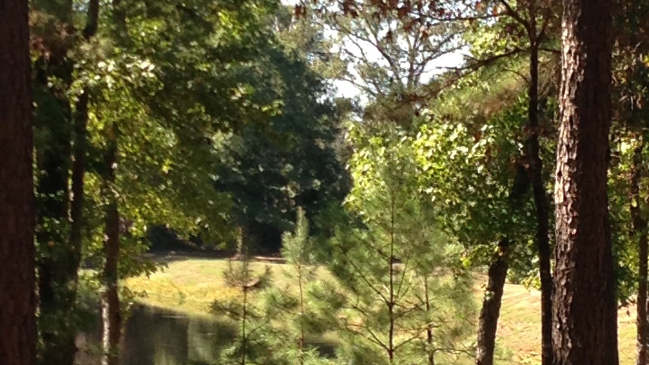 Photo of Outdoor in Pittsburg