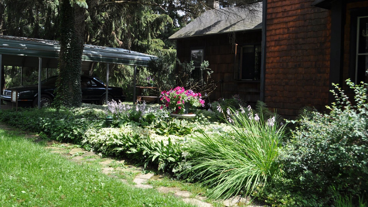 Photo of Outdoor in Little Valley