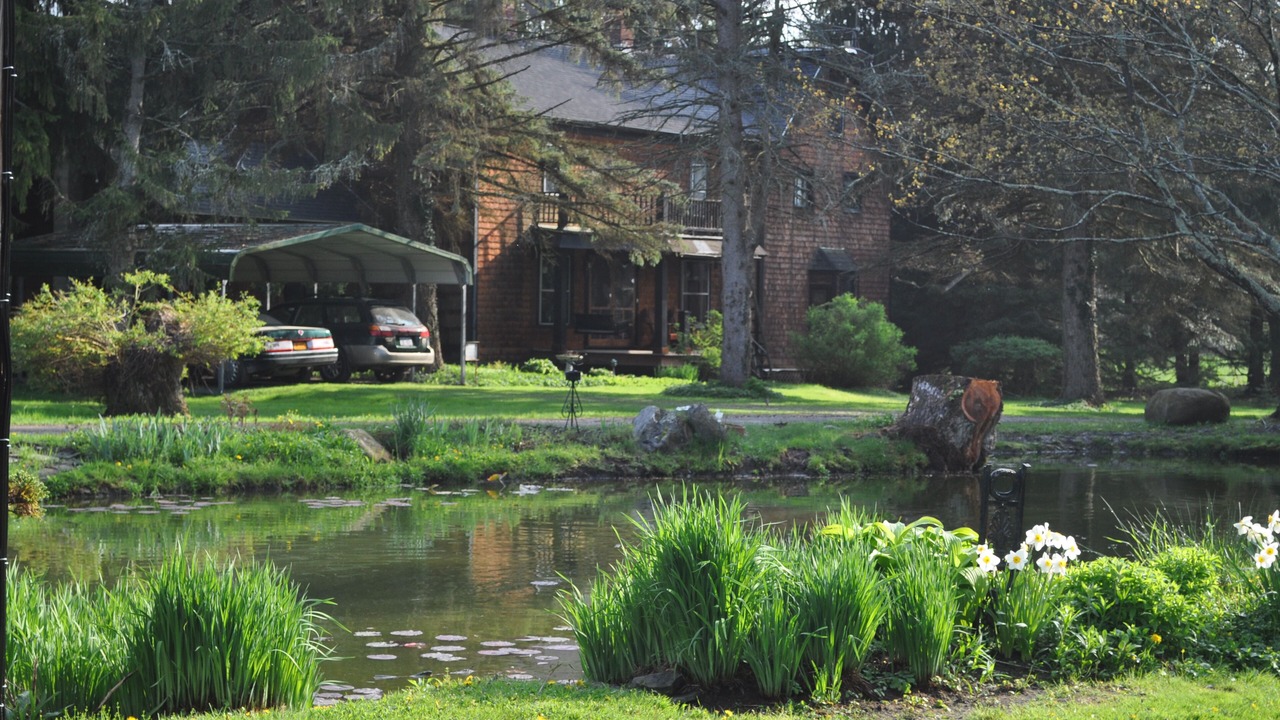 Photo of Outdoor in Little Valley
