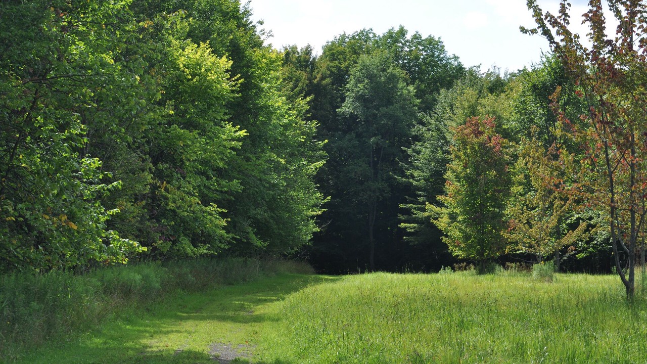 Photo of Others in Little Valley