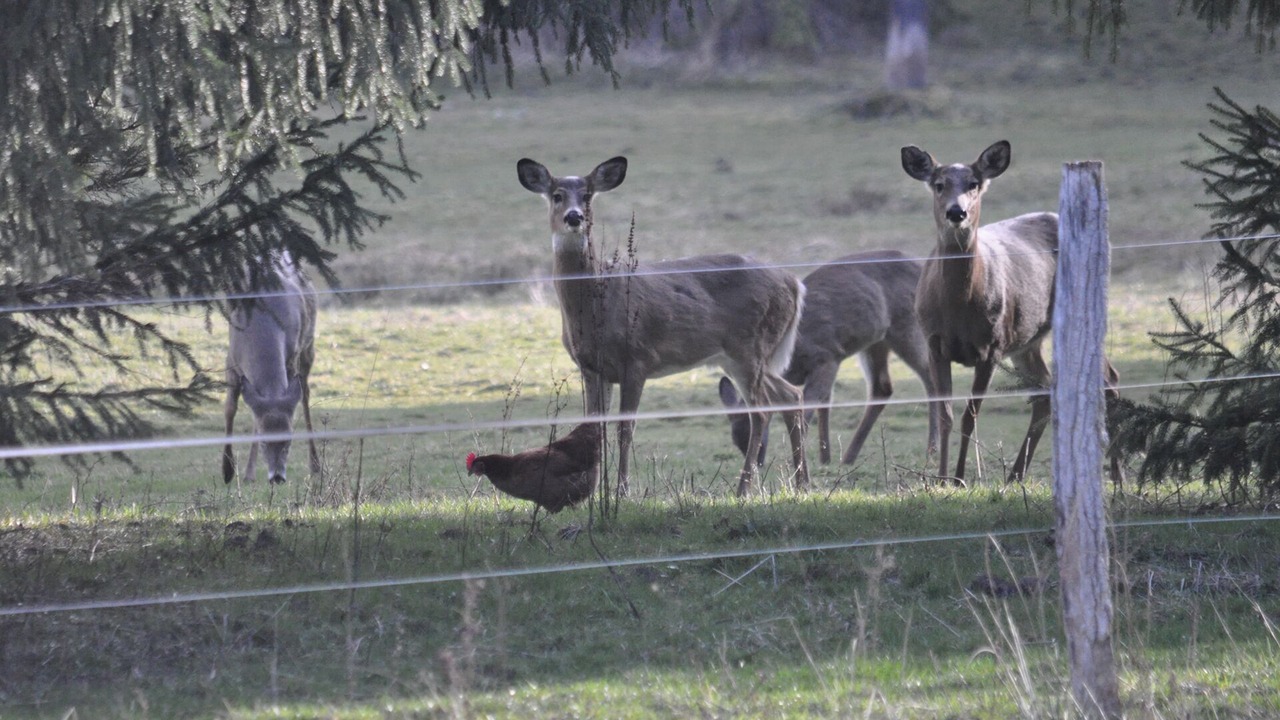 Photo of Others in Little Valley