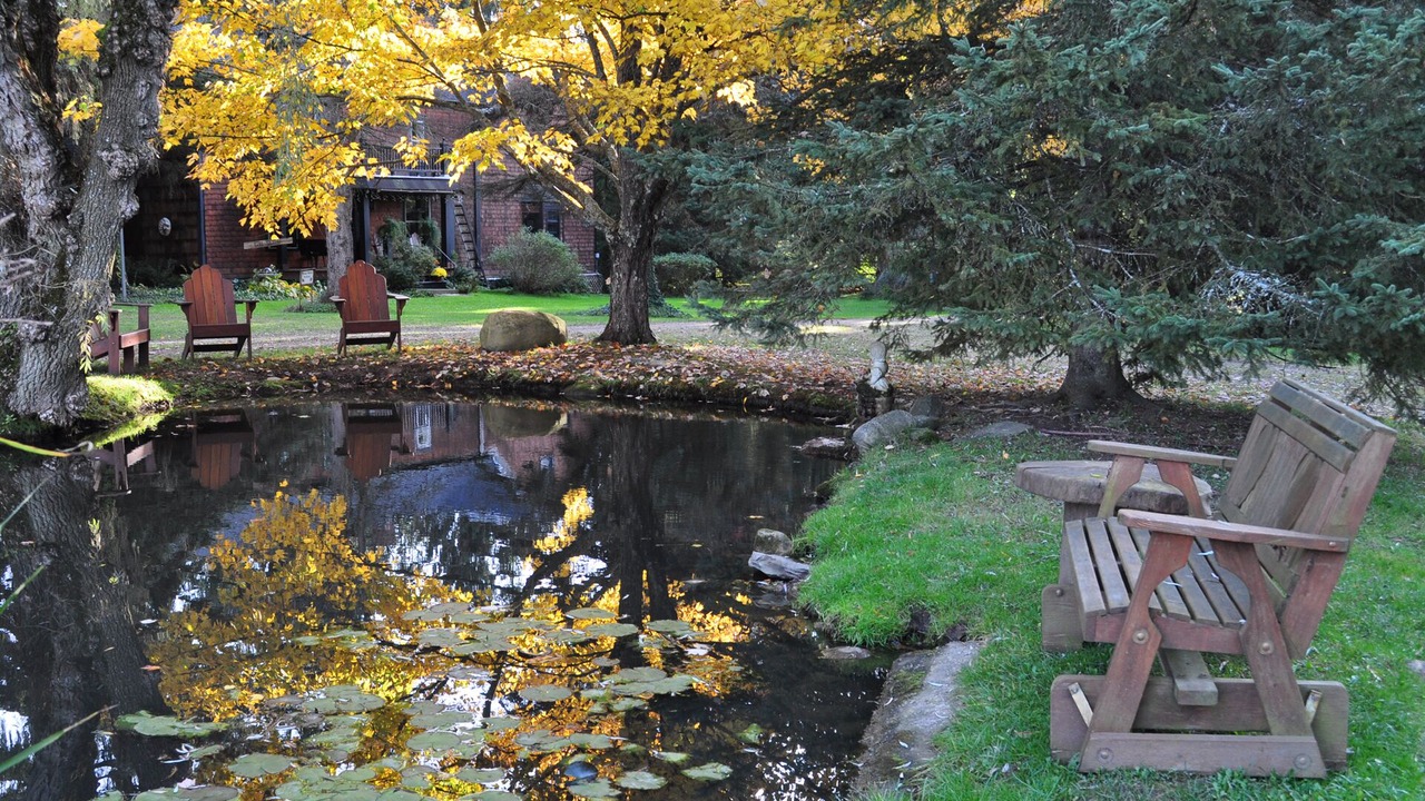 Photo of Outdoor in Little Valley