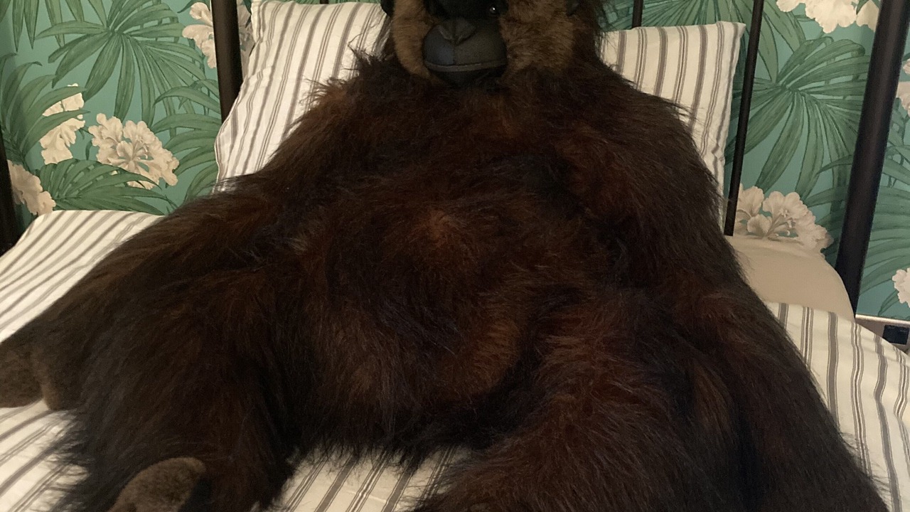 Photo of Others in Dol-y-Gaer