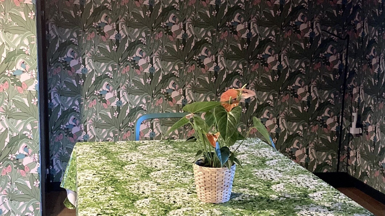 Photo of Bedroom in Dol-y-Gaer