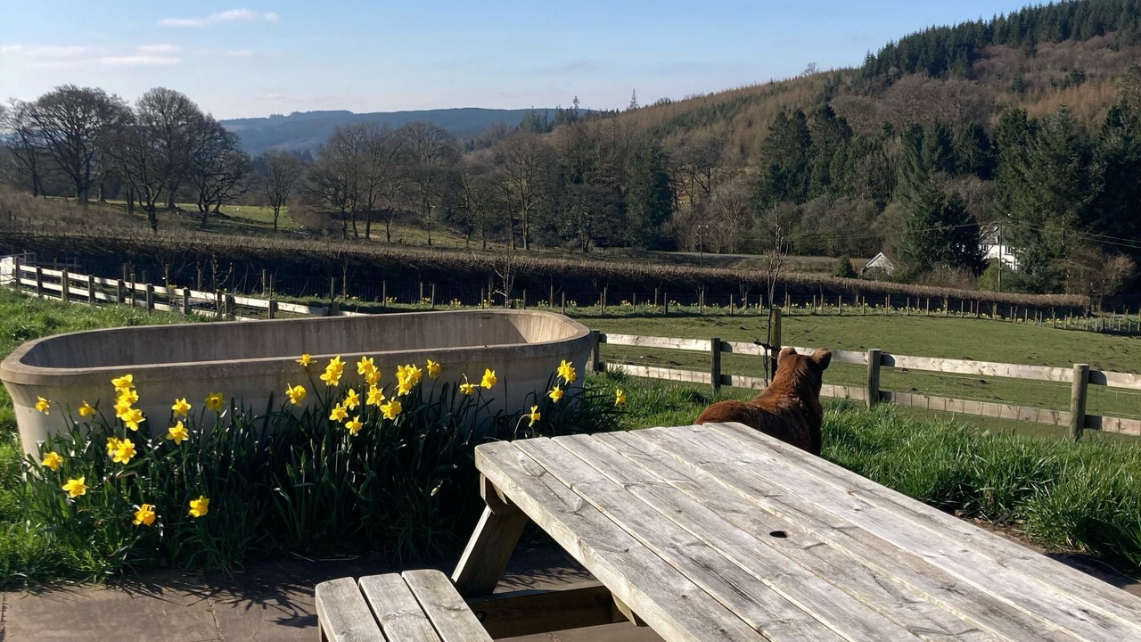 Photo of Others in Dol-y-Gaer