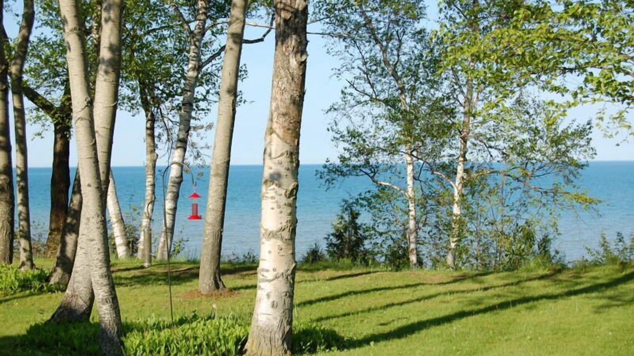 Photo of Outdoor in Forestville
