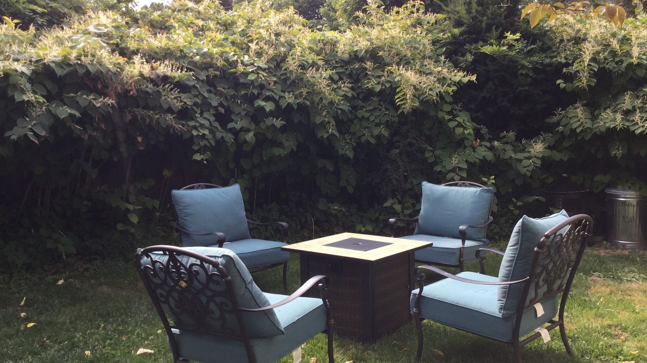 Photo of Others in York Beach