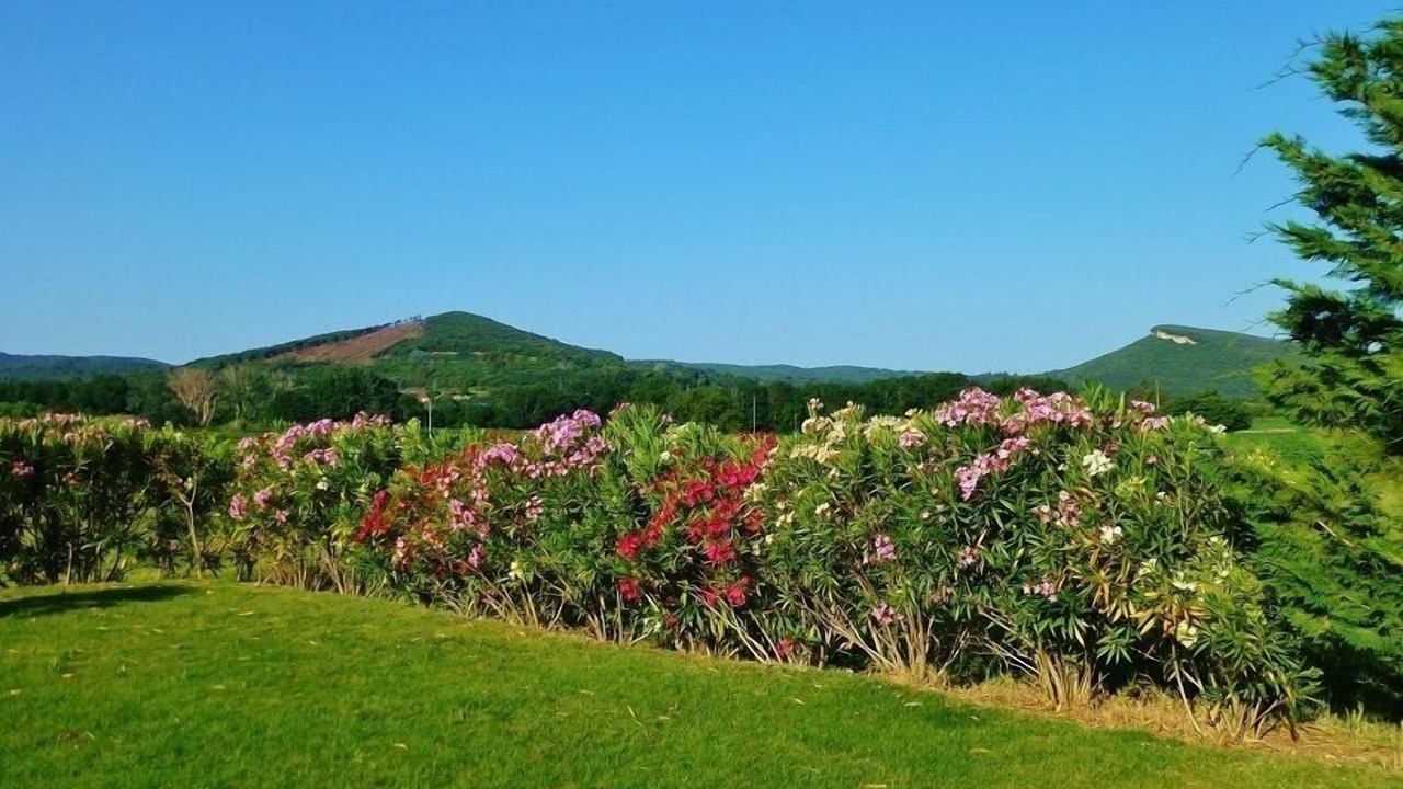 Photo of Outdoor in Saint Michel d'Euzet