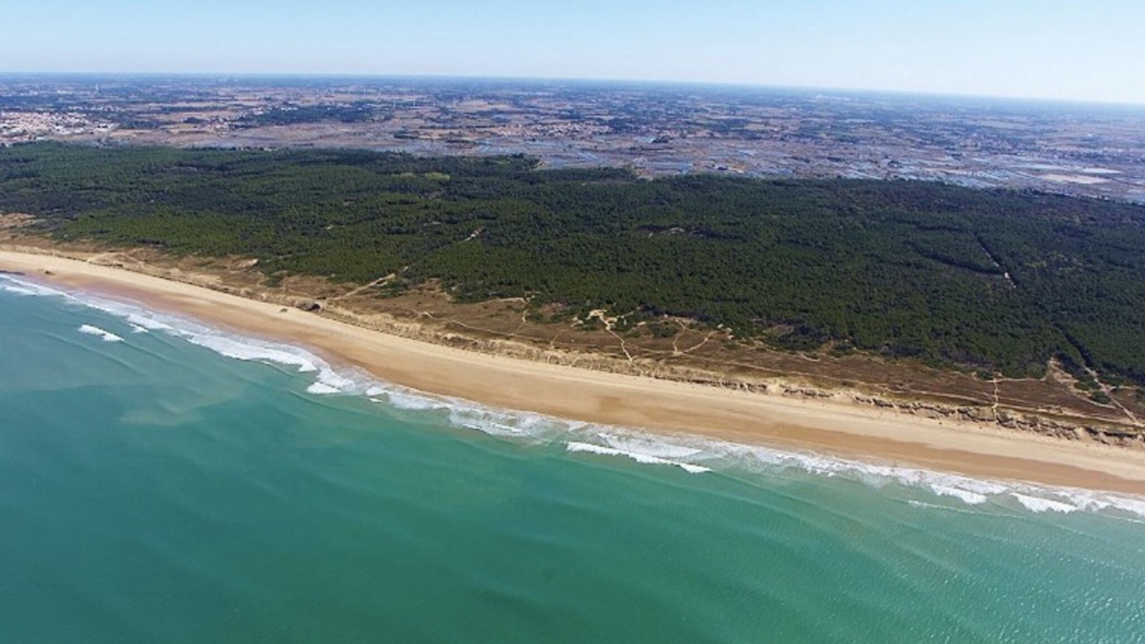 Photo of Others in Nalliers