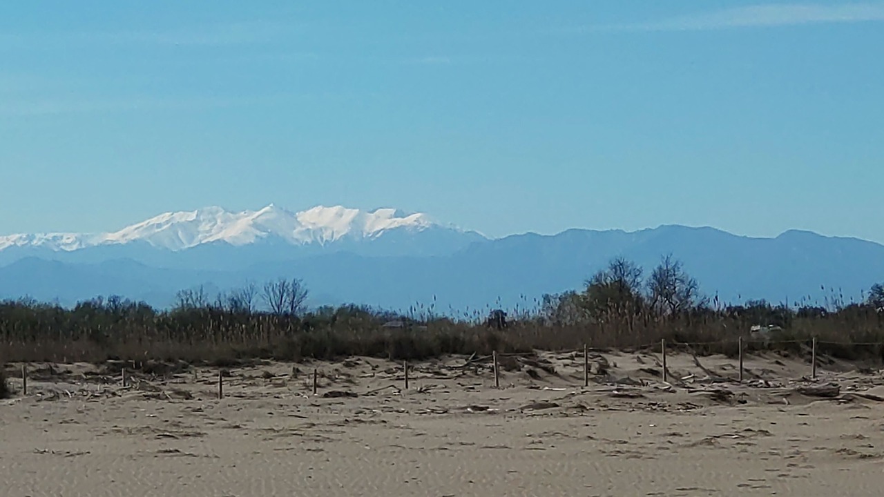 Photo of Outdoor in Sant Pere Pescador