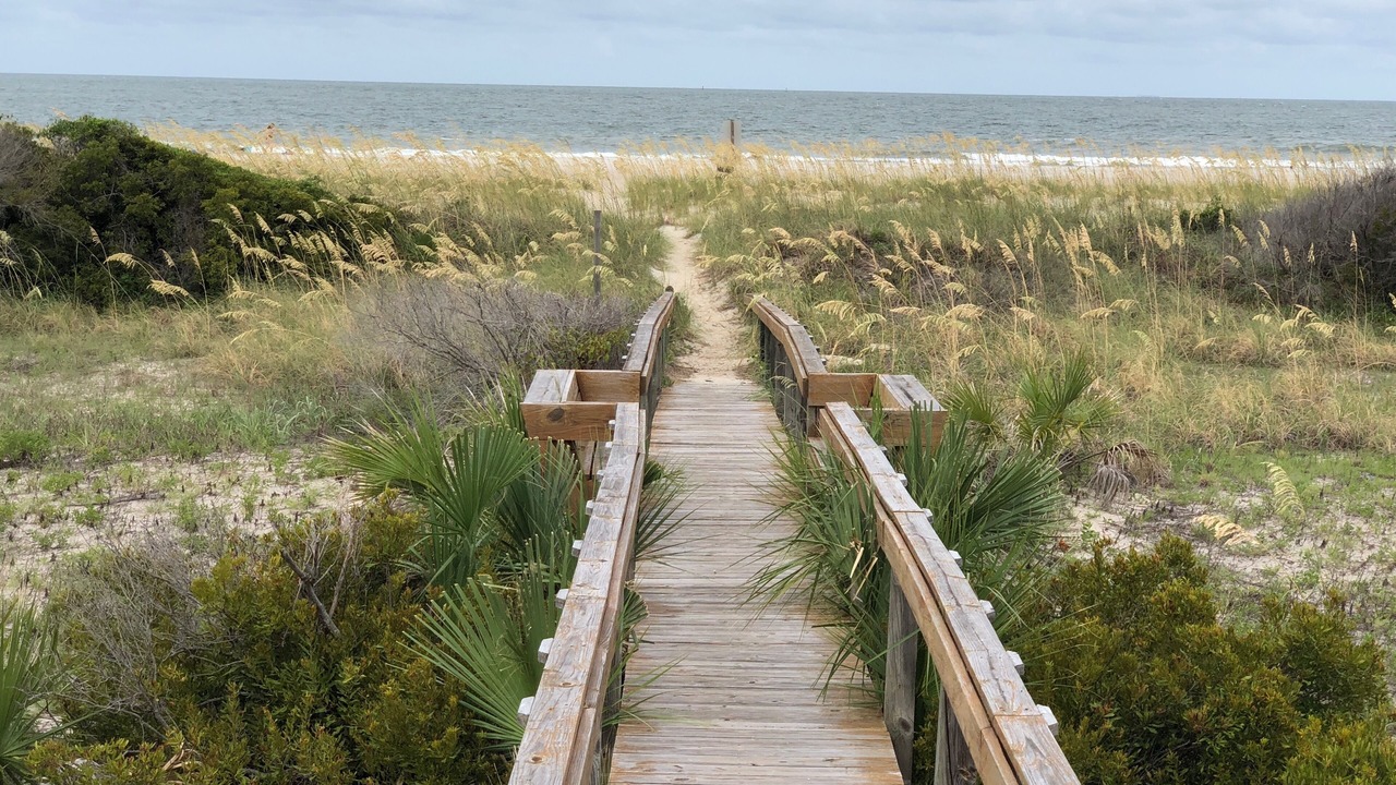 Photo of Outdoor in Tybee Island