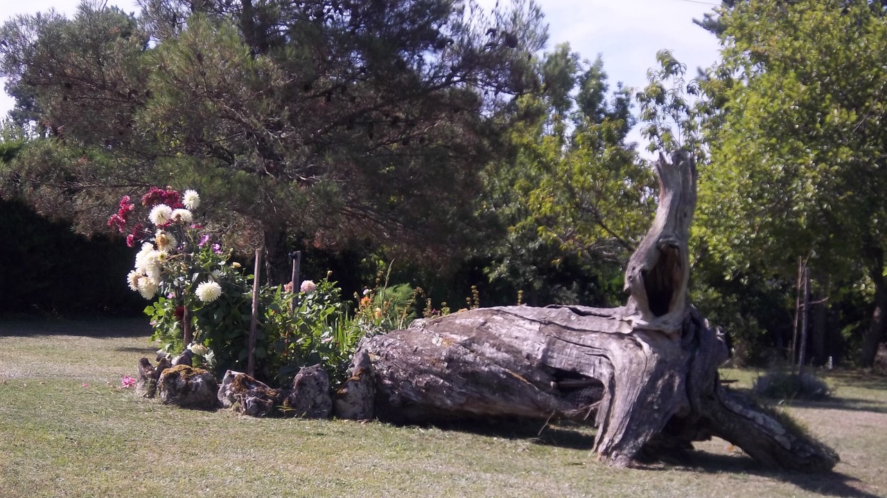 Photo of Outdoor in Plazac