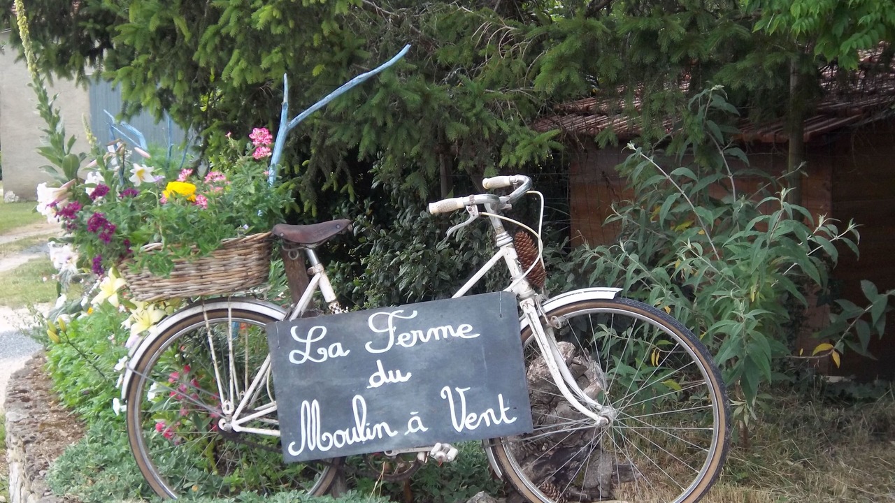 Photo of Outdoor in Plazac