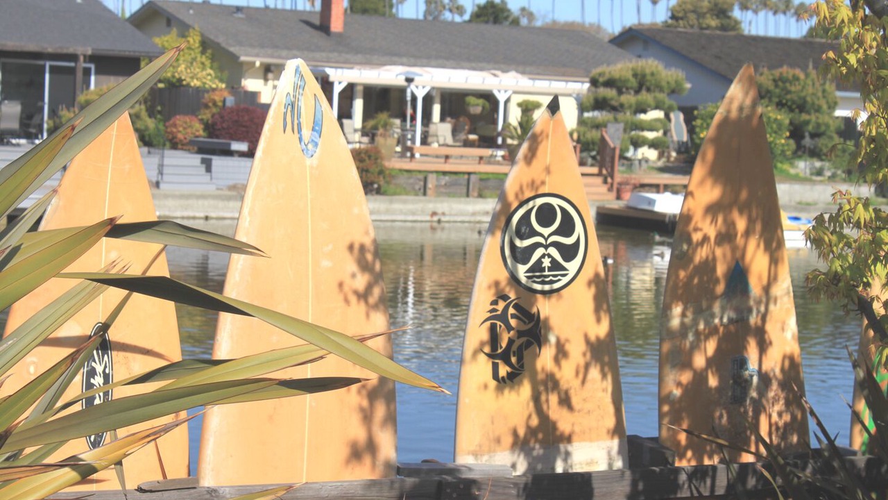 Photo of Outdoor in West Alameda