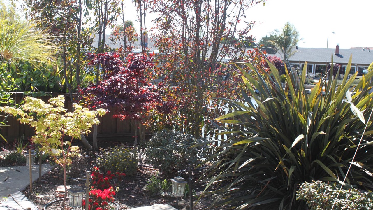 Photo of Outdoor in West Alameda