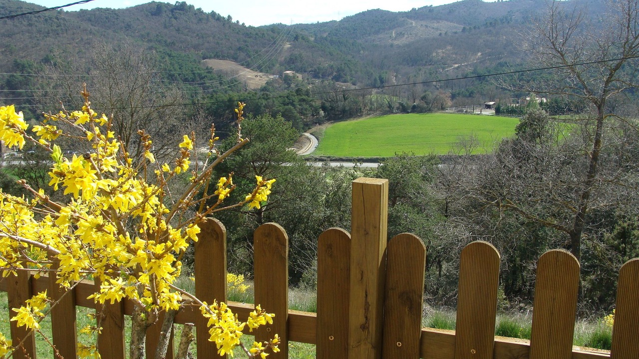 Photo of Outdoor in Niozelles