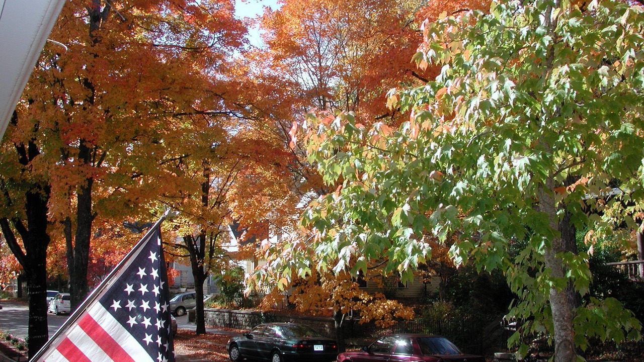 Photo of Outdoor in Eureka Springs Historic District