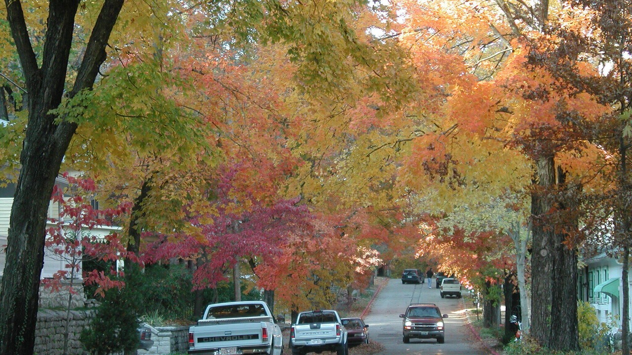 Photo of Others in Eureka Springs Historic District