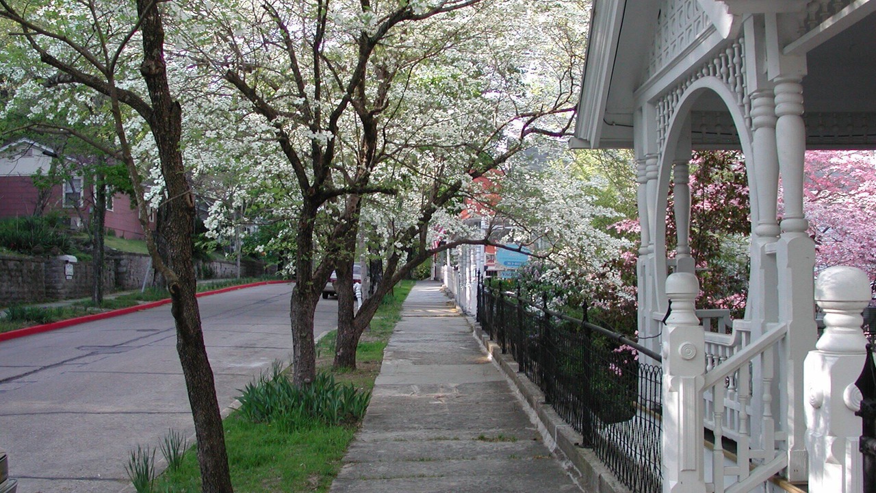 Photo of Others in Eureka Springs Historic District