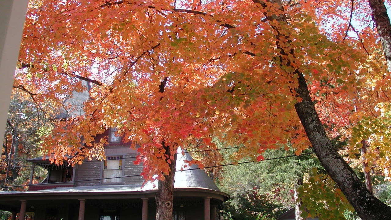 Photo of Outdoor in Eureka Springs Historic District