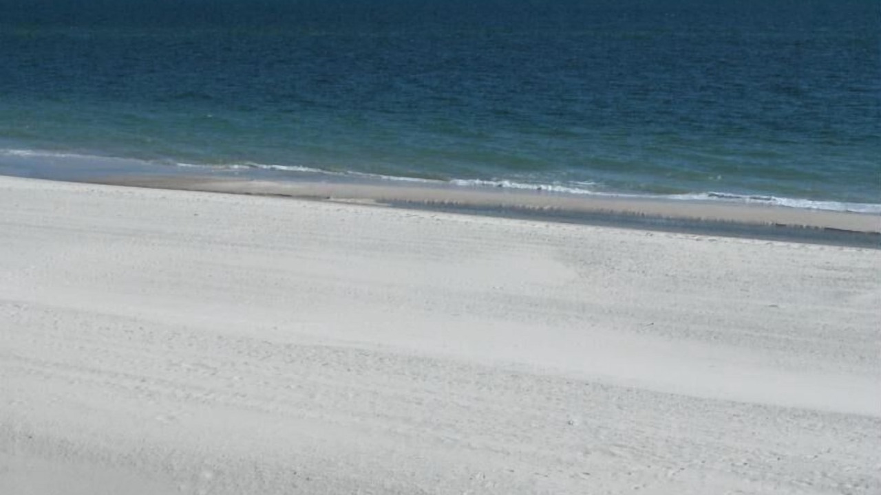Photo of Others in Gulf Shores