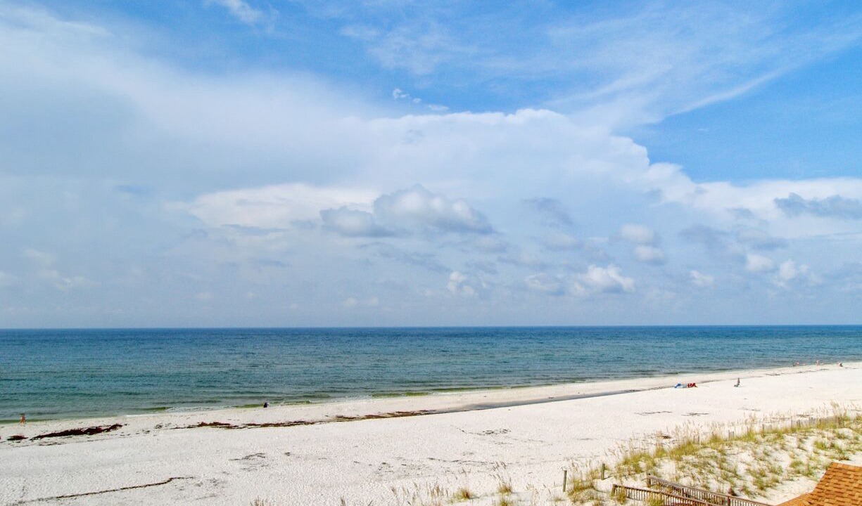 Photo of Others in Gulf Shores