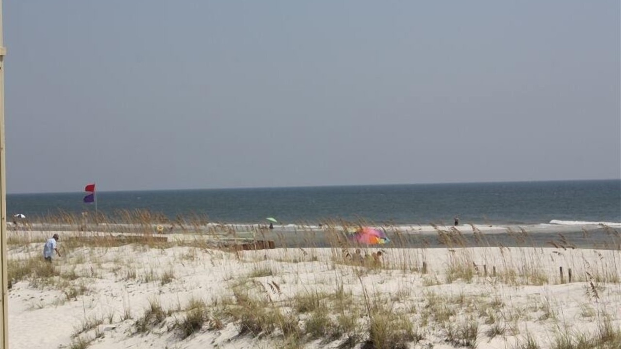 Photo of Others in Gulf Shores