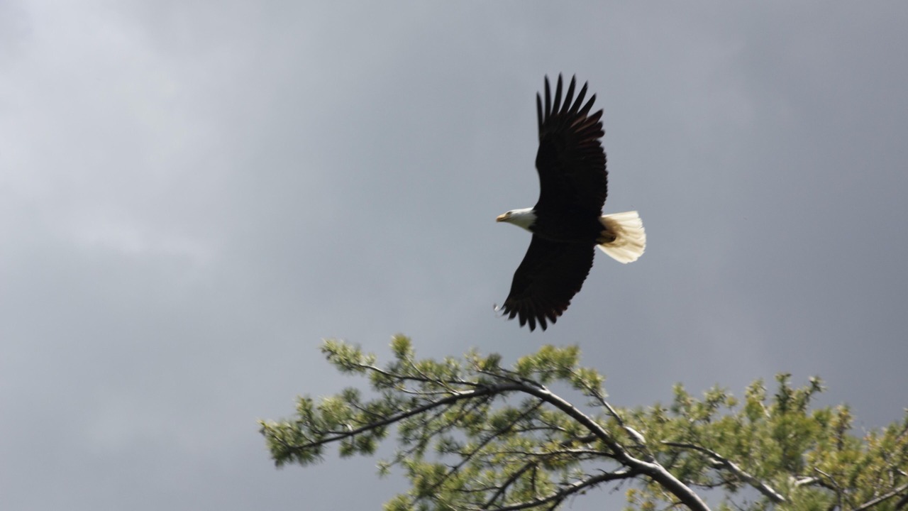 Photo of Outdoor in Saranac Lake