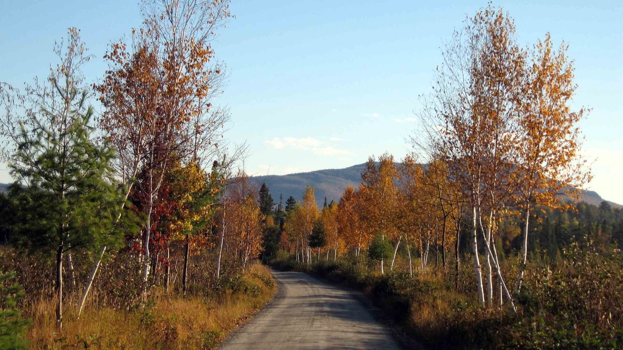Photo of Others in Saranac Lake