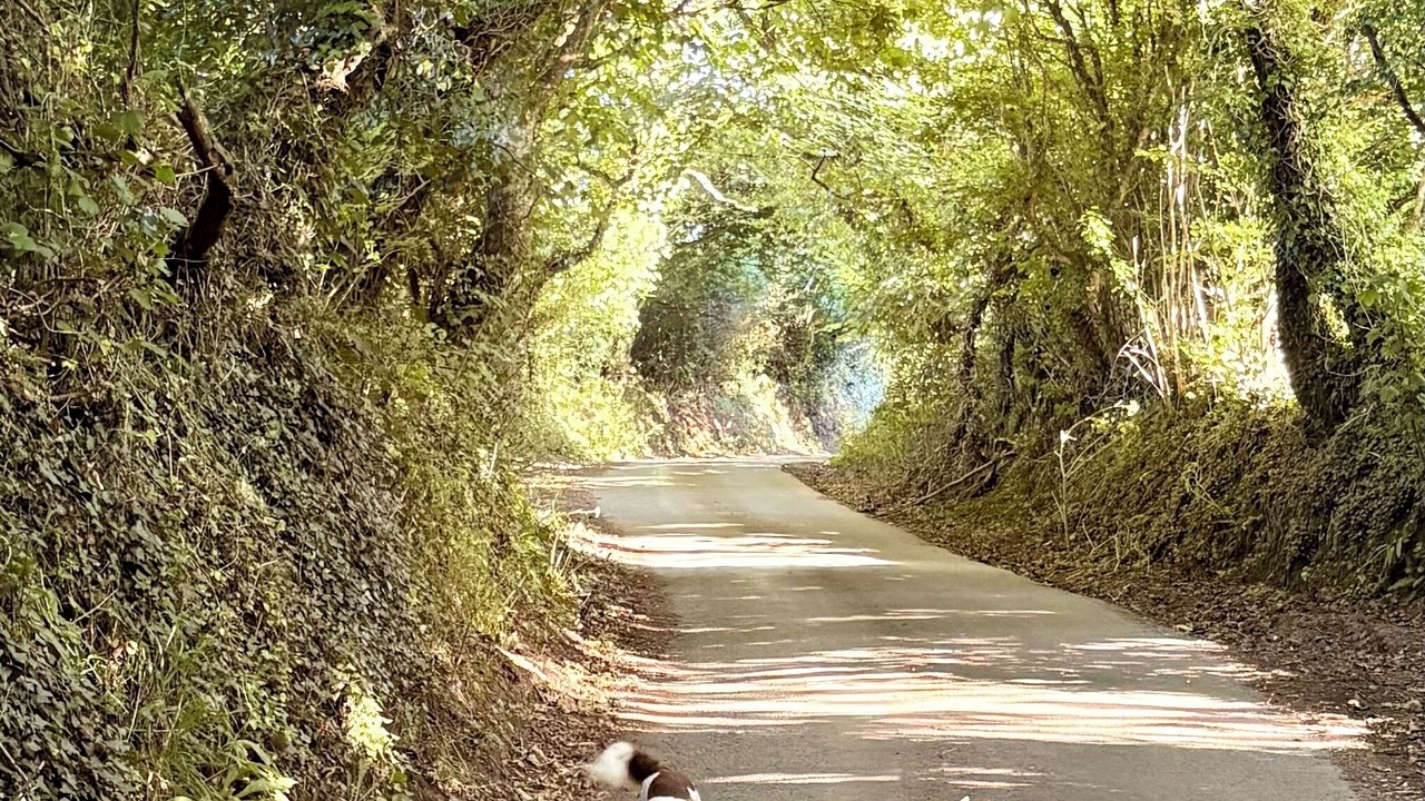 Photo of Others in Helford Passage