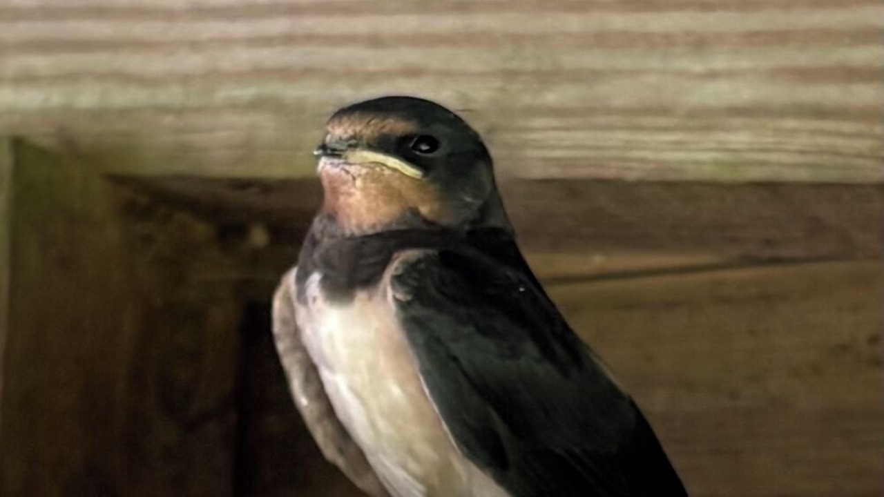 Photo of Others in Helford Passage