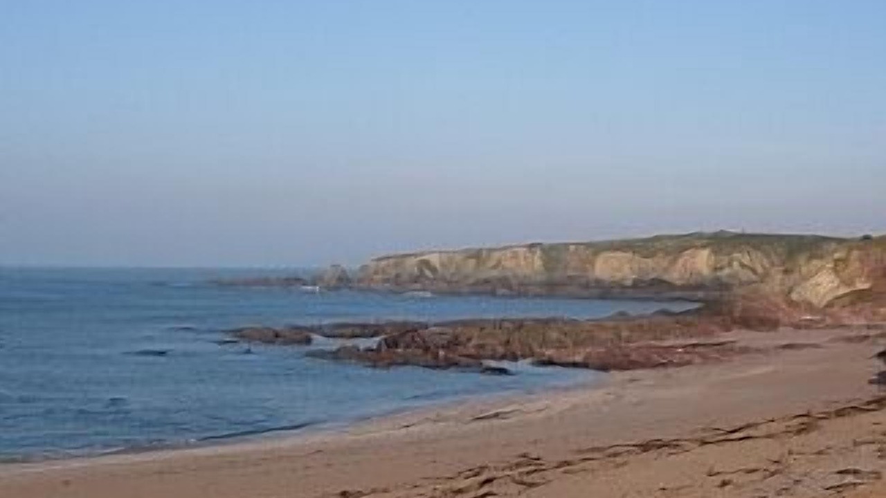 Photo of Others in Thurlestone