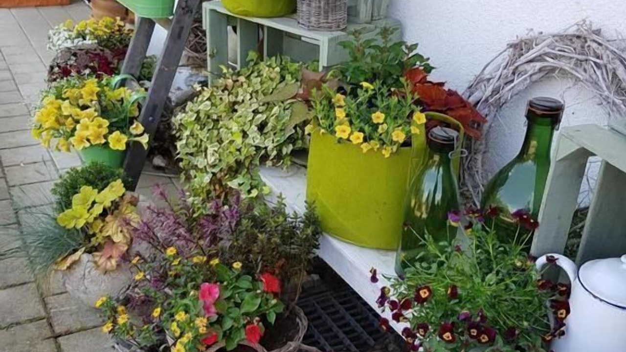 Photo of Others in Andelfingen District