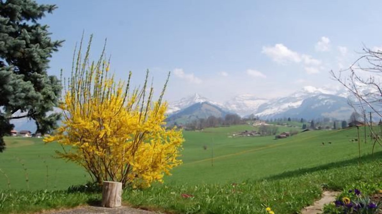 Photo of Others in Aeschi bei Spiez