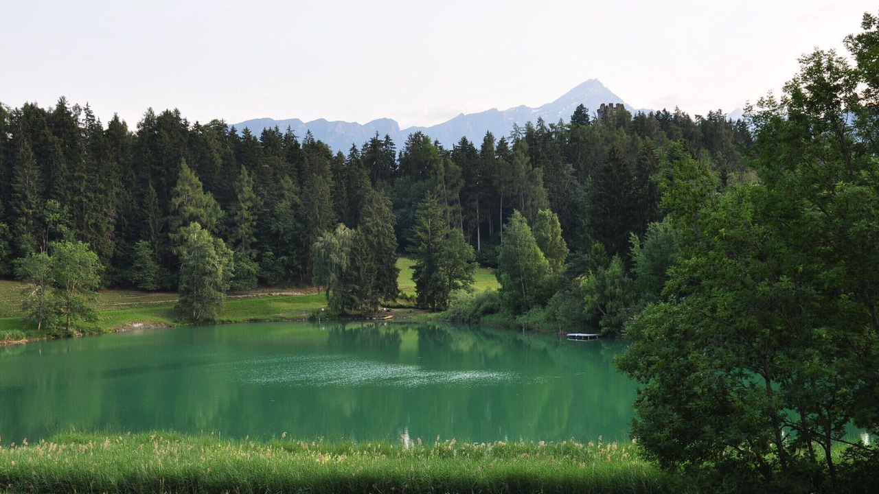 Photo of Others in Rodels