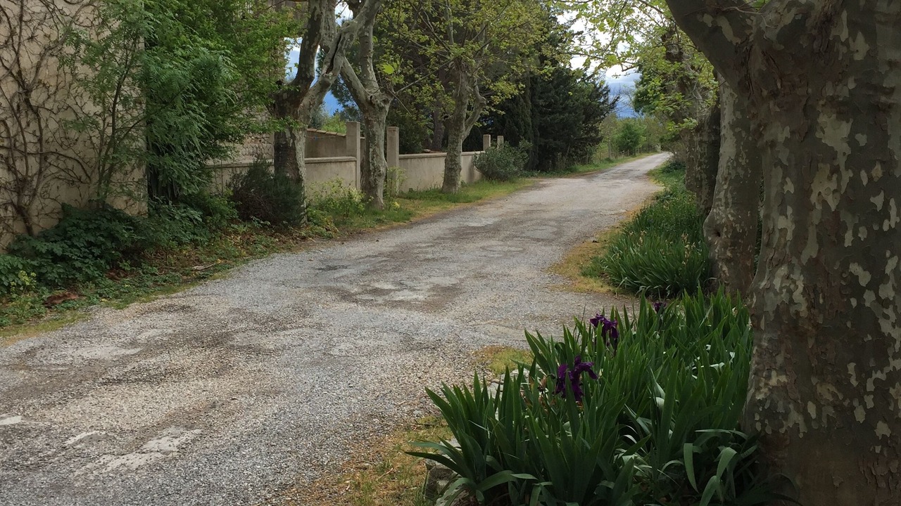 Photo of Outdoor in Narbonne