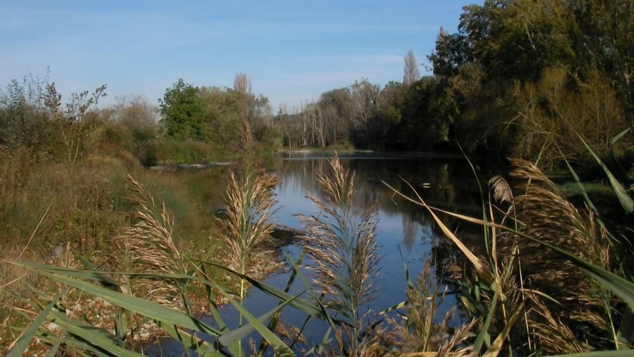 Photo of Outdoor in Pouzay