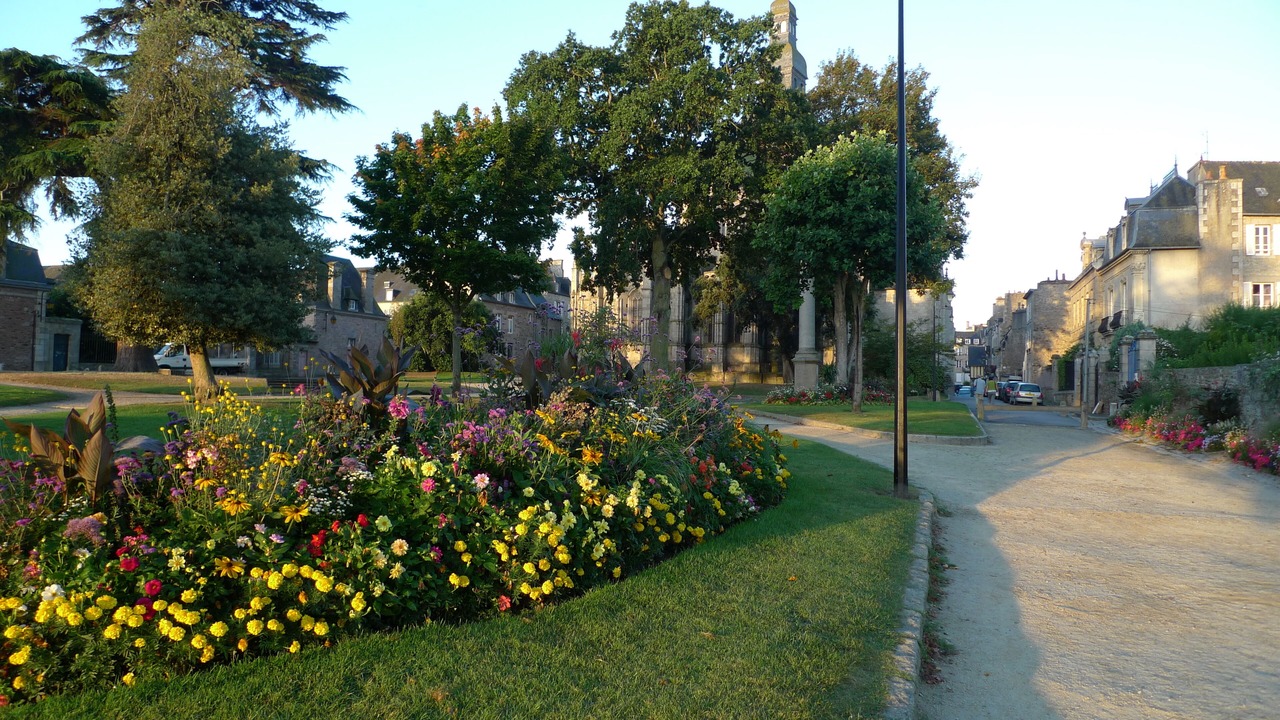 Photo of Others in Dinan