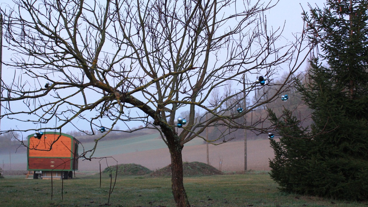 Photo of Outdoor in Roquecor
